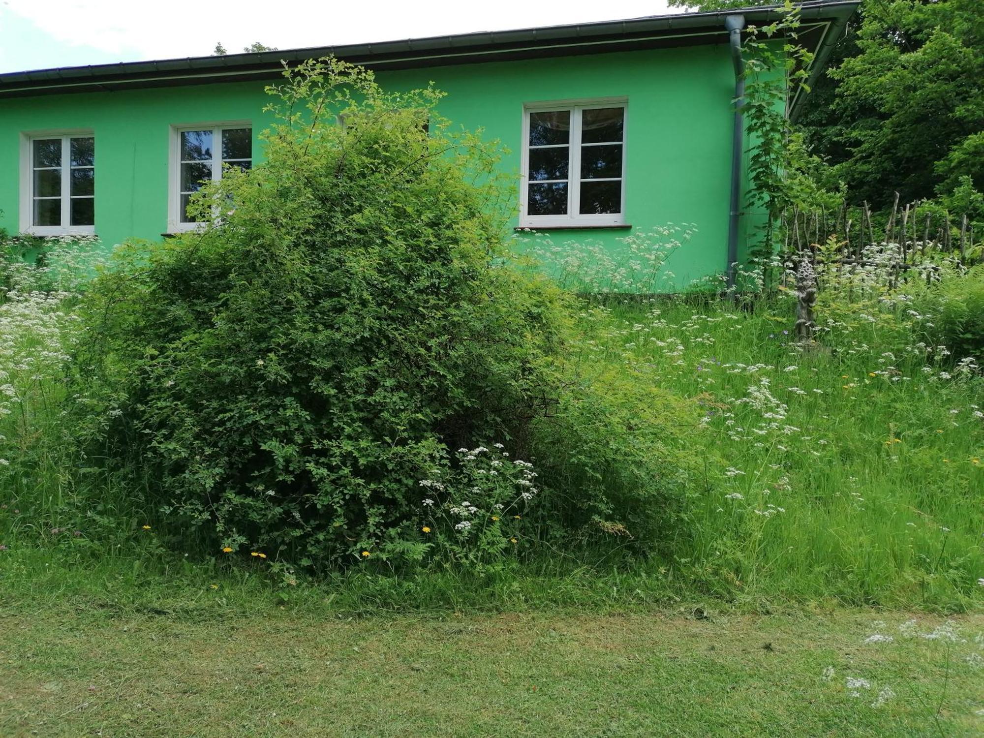 Отель Kraeuterbaude Saupsdorf Экстерьер фото